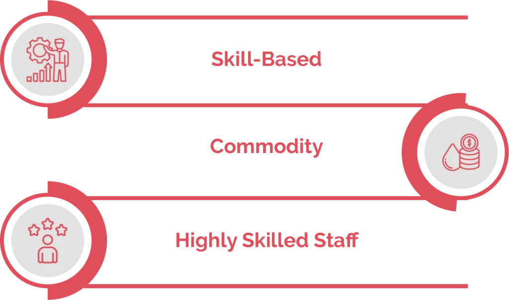 Type of Staff Augmentation Model