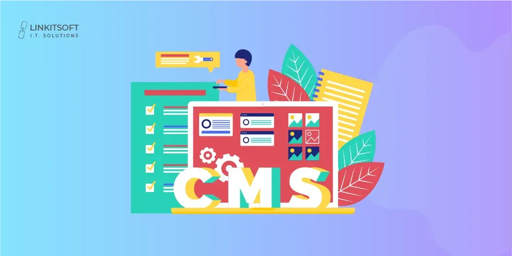 custom cms development