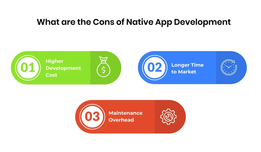 Cons of Native App Development