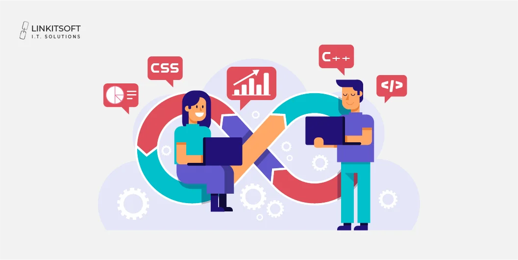 Software Development Roles