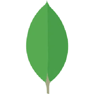 MongoDB