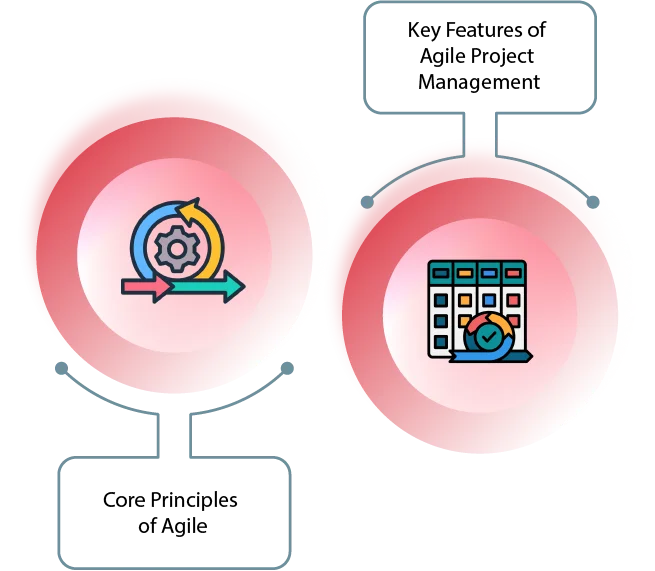 agile vs traditional project management