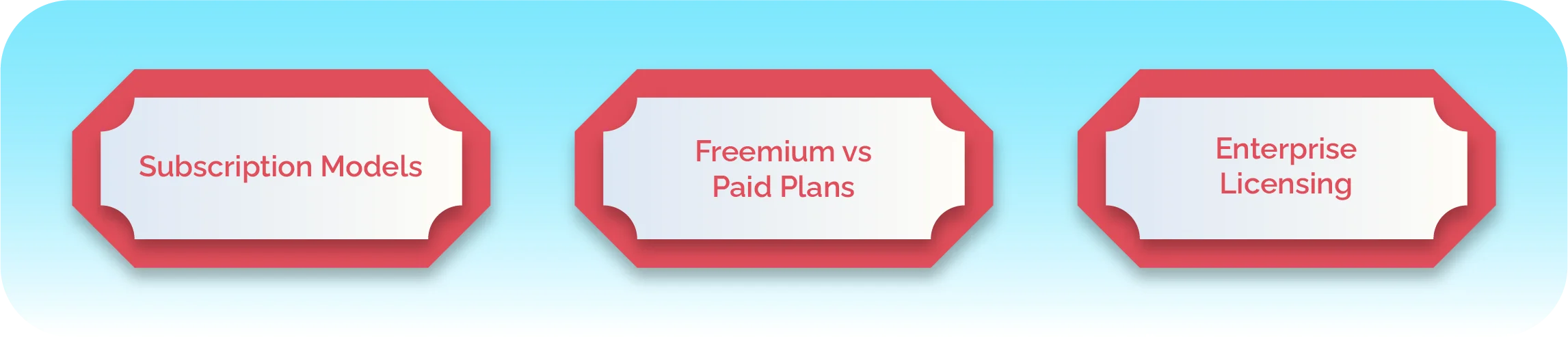 What are the Monetization Strategies for SaaS Startups